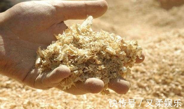 农村|此物在农村满大街都是,却没人要,带点回家,养花的神器