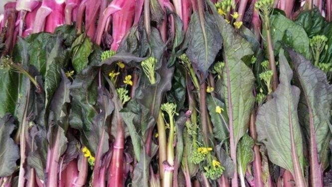 维生素c|每天晚上可以坚持吃3种食物,美容减肥、排毒抗老,爱吃就赚了!