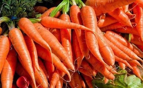 胡萝卜与此物一起食用，坚持每周吃一次，好处自动来敲门