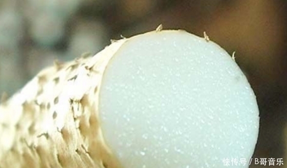 山药应该这样做！清肺止咳还美容，有效补钙身体棒，强推！
