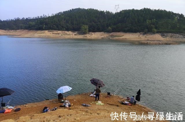 鱼儿|野钓鱼儿活跃水层多变,如何快速定位鱼层两个方法三个原则