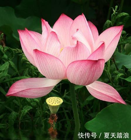 投机性|11月下旬，4属相吉星进门，桃花旺盛，福气满满，日子一顺百顺