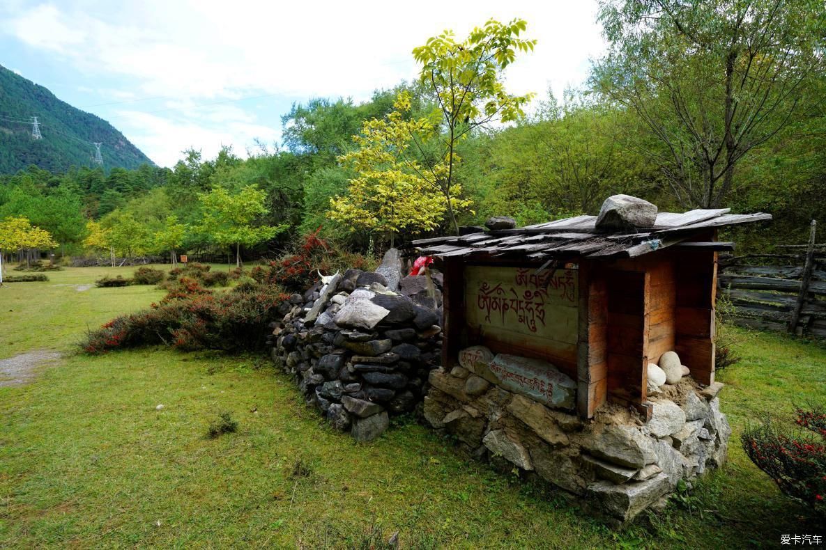 独自自驾游 欣赏最美的岗云杉林 体验环藏之旅的慢生活