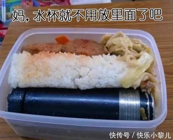 宝妈做的“黑暗便当”火了，水杯搁饭里看懵孩子，网友：有那味了