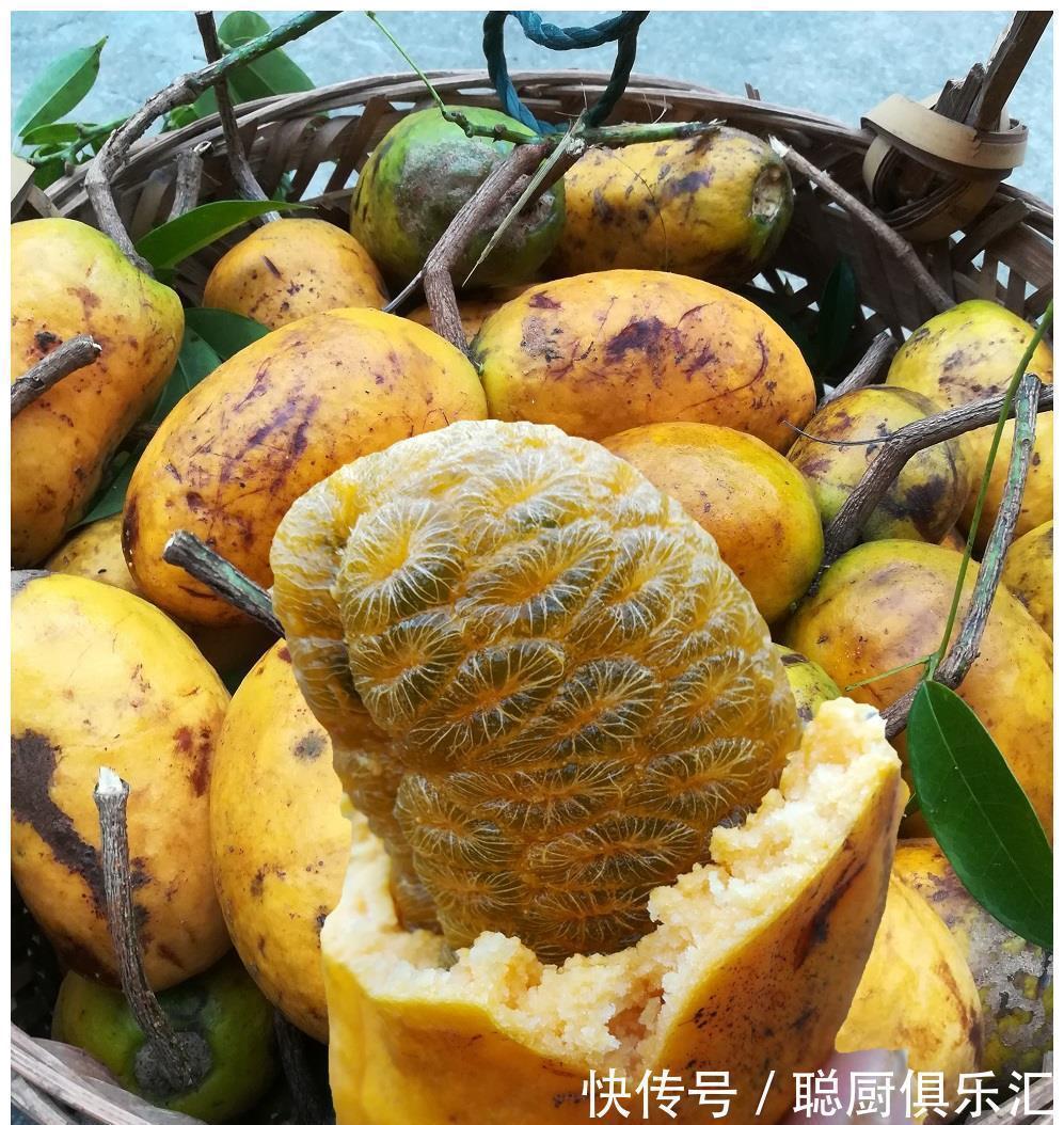 农村娃|这种野果80、90后的农村娃一定吃过,很多城里人不一定认识!