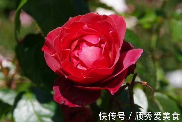 太上感应篇@俗话说:赚得金山一座,不如多积阴德,想发大财,多做4件积德事