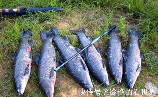 钓位|仲秋博大鱼,不能靠运气,做好这些准备工作,大鱼来了没个跑
