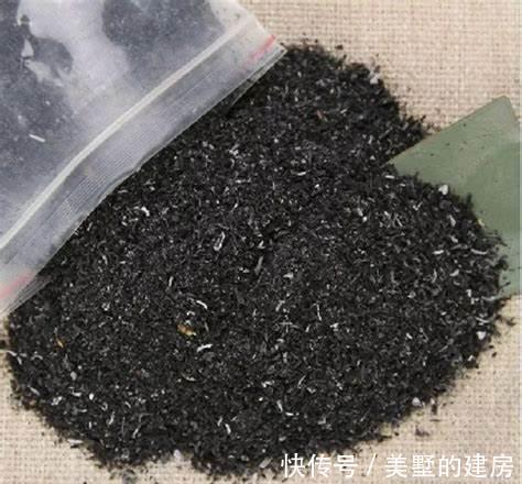 花儿|养花,这些肥能让土壤变的松软透气,更有利于花卉发育生长