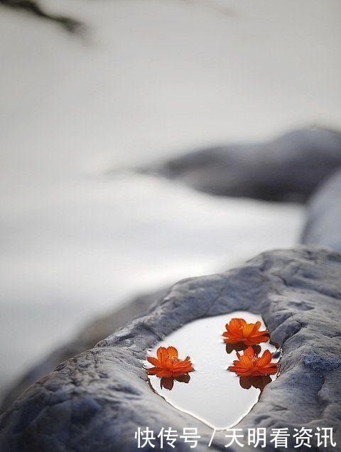 佛家|佛家一句话,胜读十年书!多读开悟才是正道