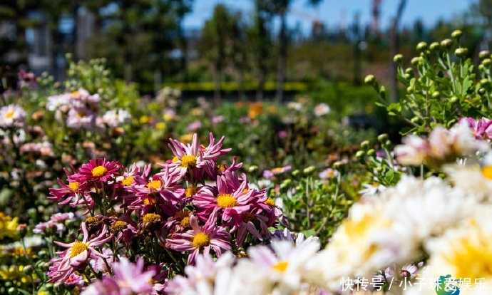 走进千童文化园,观徐福渡海求仙
