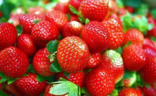 肌肤|女性养生,可以坚持吃三种食物,补充营养,滋润肌肤