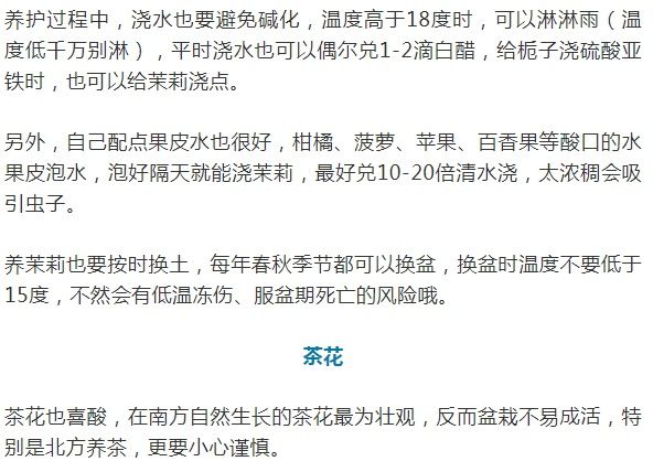 这10种花爱喝醋，浇水加点酸，叶子油亮爱开花！