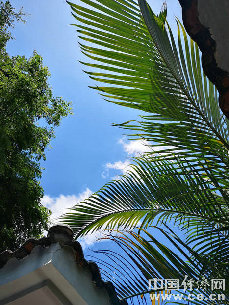 upf|选对防晒化妆品 防黑又抗老