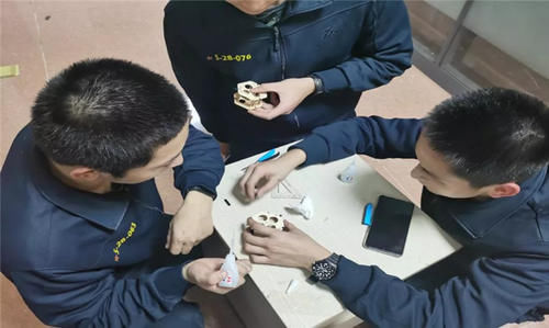 多级火箭直上云霄，这枚“ 乘客”返回后毫发无损