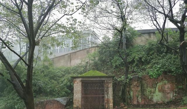 如今|此碑应是如今岳麓山中最古老的文物,但来历成谜,至今难解