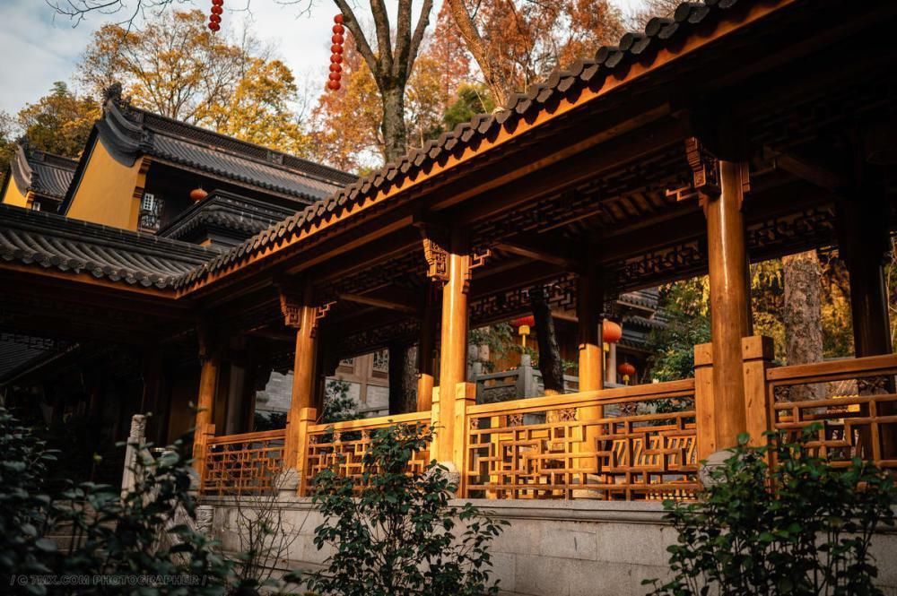 中国历史上杀和尚烧寺庙的例子很多，为何烧道观的却很少呢？究竟为什么呢？