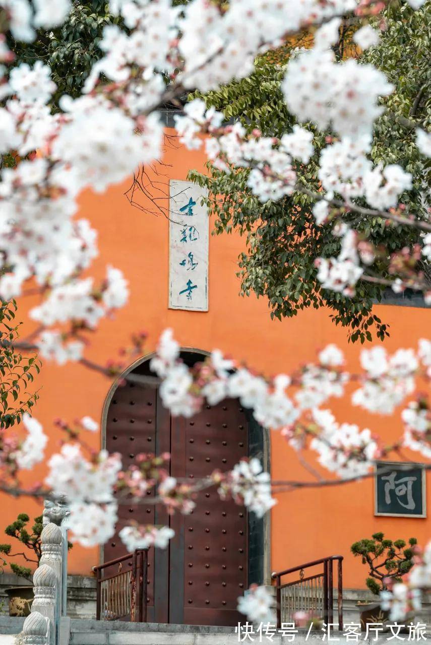 小火车|再过30天,世界又要被惊艳了!因为,中国的春天到了