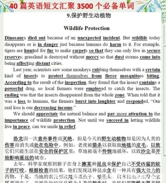 英语老师|英语老师：背熟这40篇英语短文，记牢中学6年3500个词汇！珍藏