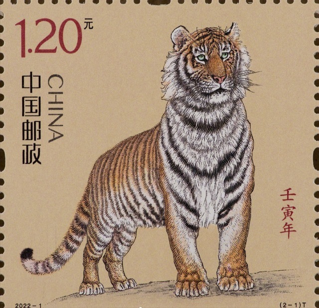虎落平阳|虎年邮票被嫌弃,老虎没有威风还病怏怏,网友一针见血透露玄机