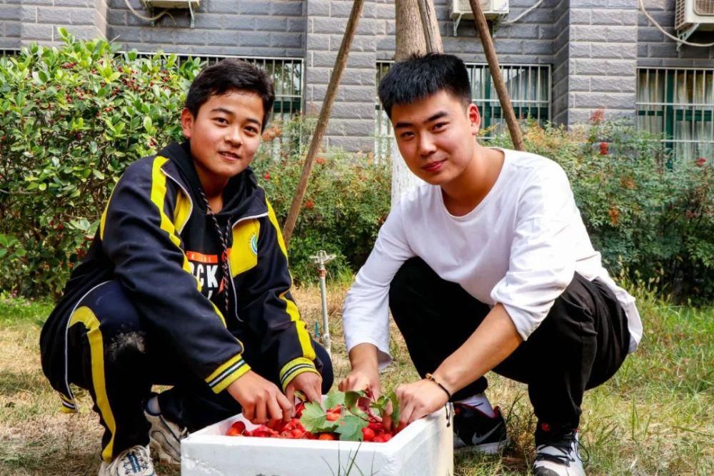 综合|开心收获 快乐成长——羲城中学举行校园采摘节综合实践活动