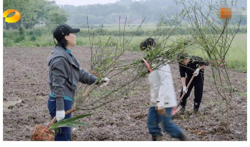 節(jié)目|一個(gè)鏡頭都舍不得錯(cuò)過(guò)，這一期《向往5》，才是原汁原味的熟悉感