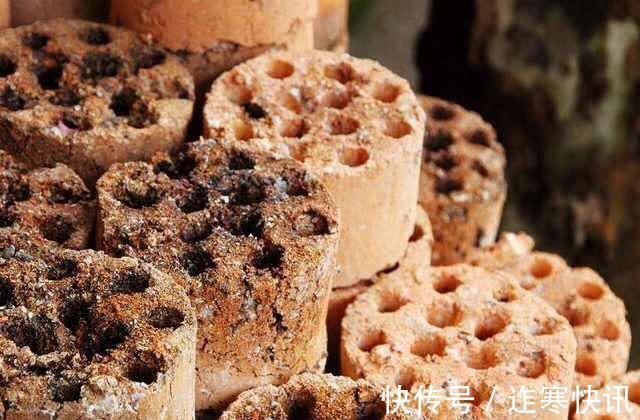 养花旧土别扔，“3样”东西加一点，土质肥沃，养花特旺，开花多