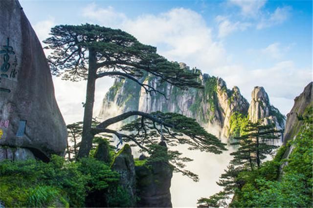 黄山|中国十大名山之首以五绝美景出名，是许多画家最爱的素材