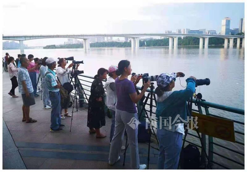 许如君 “超级花血月”现夜空，柳州市民在网红桥赏月大呼“太神奇”