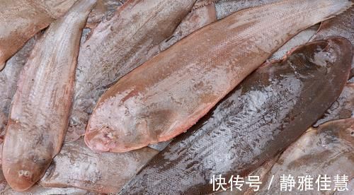 鱼刺|龙利鱼、巴沙鱼傻傻分不清？教你一招，轻松分辨，太实用了