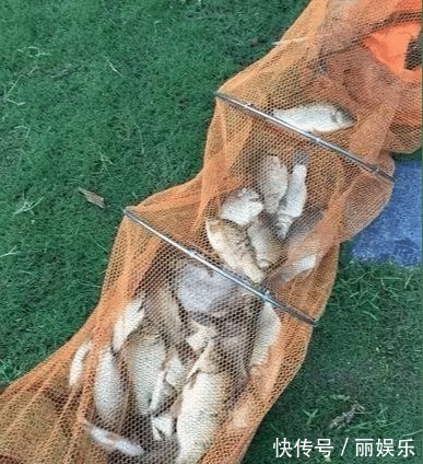 饵料|世上最牛的钓鱼饵料，不是蚯蚓！厨房一小物，新手也能获鱼100斤
