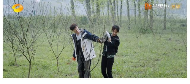 向往的生活|緋聞男女何去何從？張藝興對楊紫稱呼三次轉(zhuǎn)變，觀眾嗑糖嗑瘋了！2