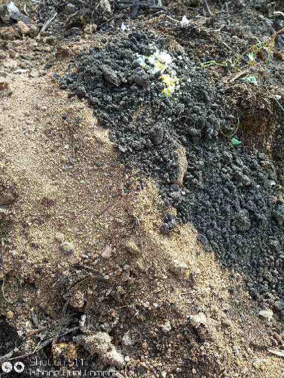 山泥|养花选土是关键,选对了这几种土,养啥啥爆盆!