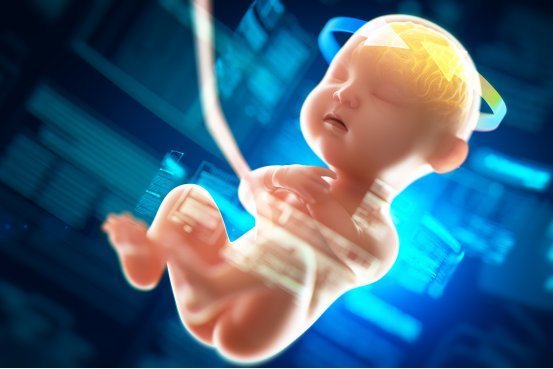 神经元|要宝宝聪明，要抓住两个高峰期：一个在出生之前，一个在出生以后