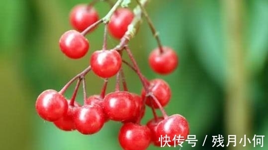 双喜|3月27日，生肖蛇双喜临门，属蛇人来看看！福禄不请自来