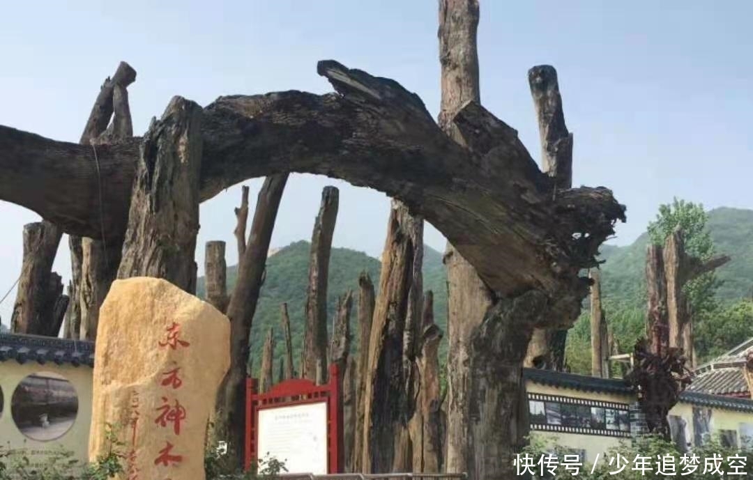 五一桐柏游：山水赏花游乐美食，世外桃源嗨起来