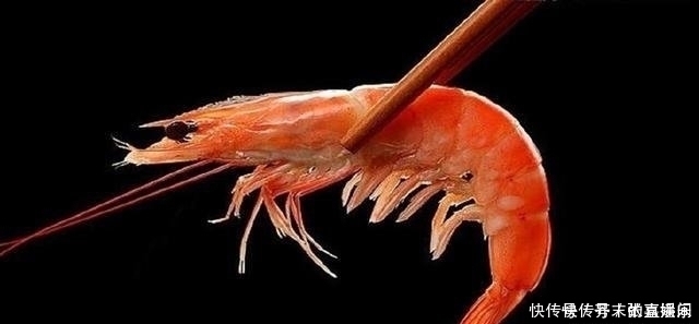 白水煮大虾用冷水还是热水原来我一直都错了,难怪不新鲜不好吃