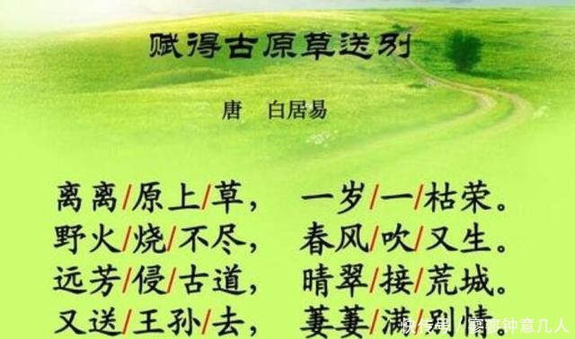 干谒诗文|只是没了几首诗,《长安十二时辰》的程参为什么号啕大哭?