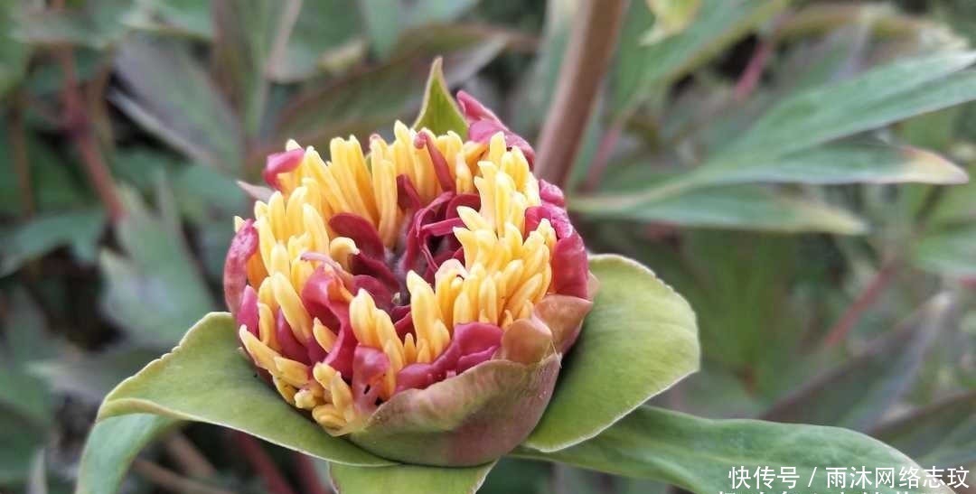 湘乡|曾国藩:不要多管闲事,有福不可享尽,有势不可使尽