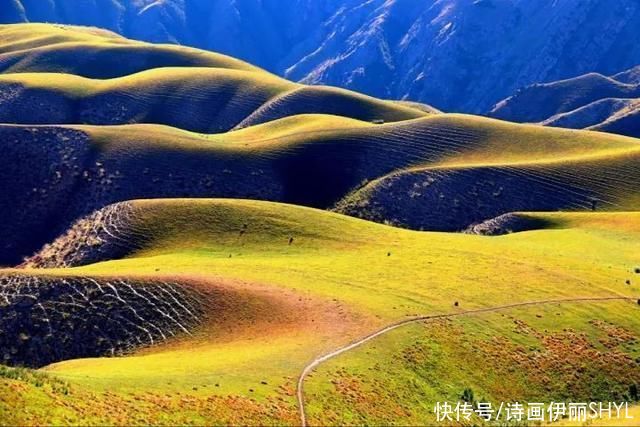 中薪|伊犁草原篇:特克斯喀拉峻