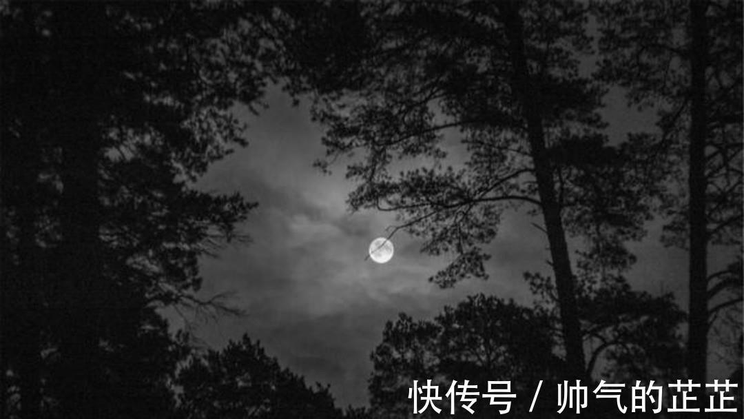 袁中道#明朝才子袁中道一首抒情诗,只有短短的20个字,却美得令人心醉!