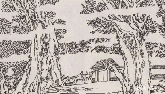 小花蛇!新聊斋故事男子挖参救母招来护参蛇,几年后惹大祸险些妻离子散