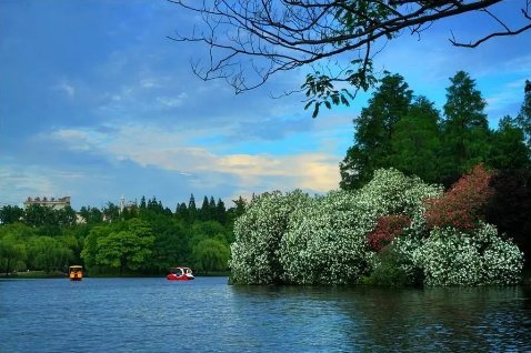 孟夏|初夏注意预防三种疾病