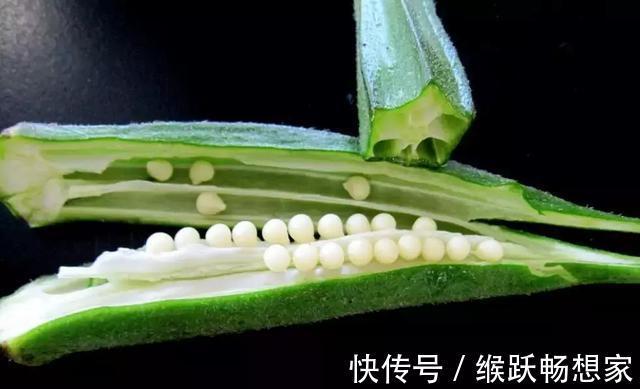 李缨|还在吃秋葵赶紧看看吧!别说没告诉你,现在看还不晚