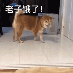 |搞笑图集:你们公司中秋发了啥?网友:发了个通知,说不放假