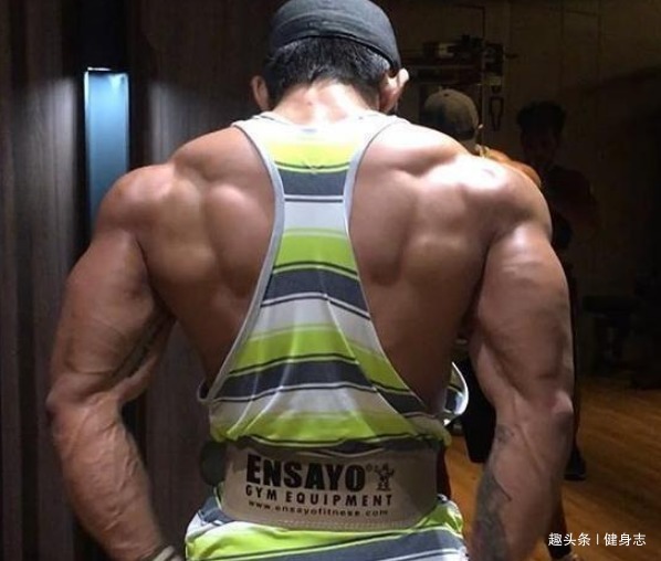 老鸟|为什么健身的人很多,最后留下的却很少健身老鸟一说,全明白了