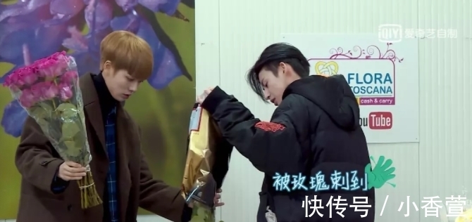 欧阳娜娜|《小姐姐的花店》争议大，宋佳被质疑“做慈善”，欧阳娜娜则被夸