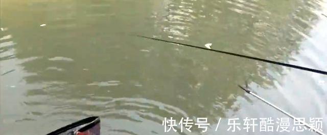 浙江一男子野钓频繁“双咬”，两小时钓获20多斤，网友神级钓手