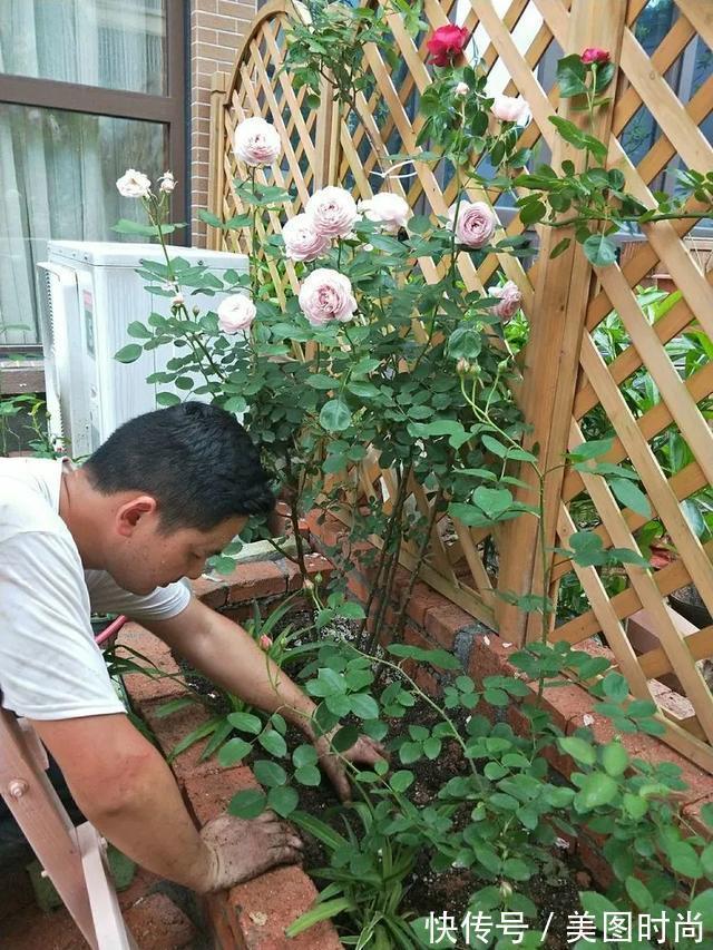 黄先森|3年前,他买了一栋带花园的小洋房,为她打造了一个童话般的花园