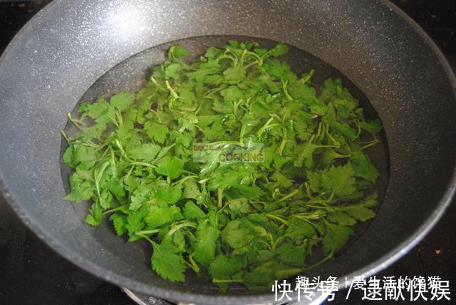 这菜是个宝,可惜很多人当草,包饺子比荠菜还鲜,现在吃正当季