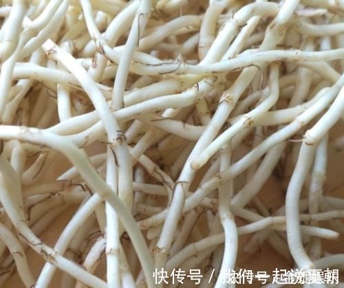 排毒|“它”是前列腺炎的“克星”,男人没事常吃,消炎排毒,炎症或“不药而愈”